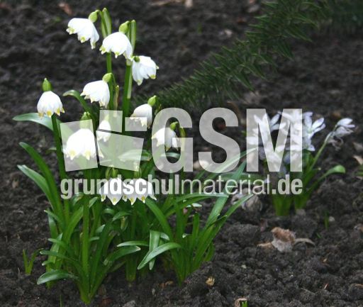 Maerzenbecher-1.jpg